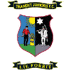 特兰特青年 队徽